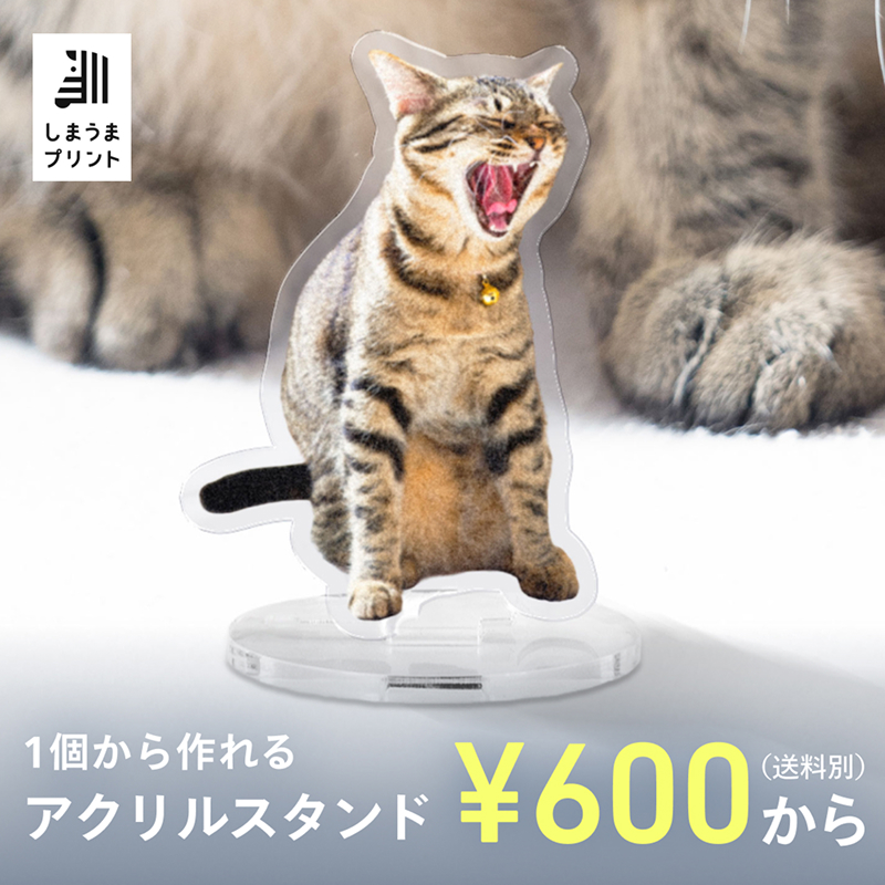 shimauma_plus's tweet photo. 思わず撮った、愛らしい姿の数々――今だけの“かわいい瞬間”を、アクリルスタンドにして飾ろう。
スマホの写真1枚からつくれて、ギフトにもぴったり。
世界にひとつ、我が家だけの思い出を、高品質で。