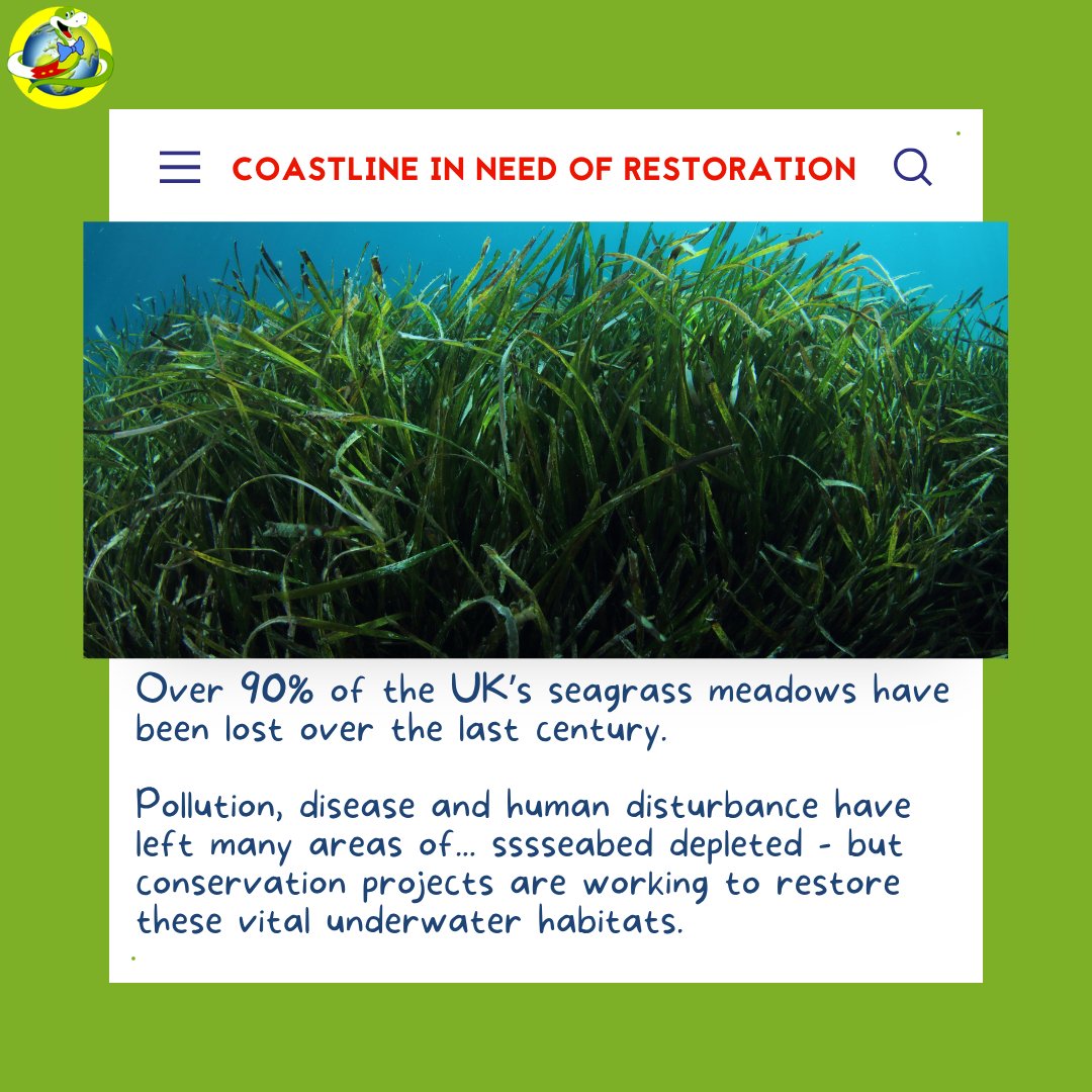 JakesSnakebites's tweet photo. Beneath the surface, seagrass is helping protect our oceans. 🌊 These underwater meadows support marine life, boost biodiversity and help tackle climate change. 🌱 Restoration projects are giving them a second chance. 💚

https://t.co/SWwLo4tDzo

#marineconservation #seagrass https://t.co/0h52knAvdi