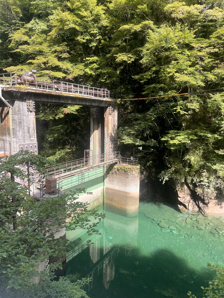 pokarin_nan's tweet photo. 山の日は玄倉〜熊木沢出合往復🏃‍♀️いきました
靴に塩で被害なし🧂
暑かった☀️ https://t.co/gaxIxa7MZy