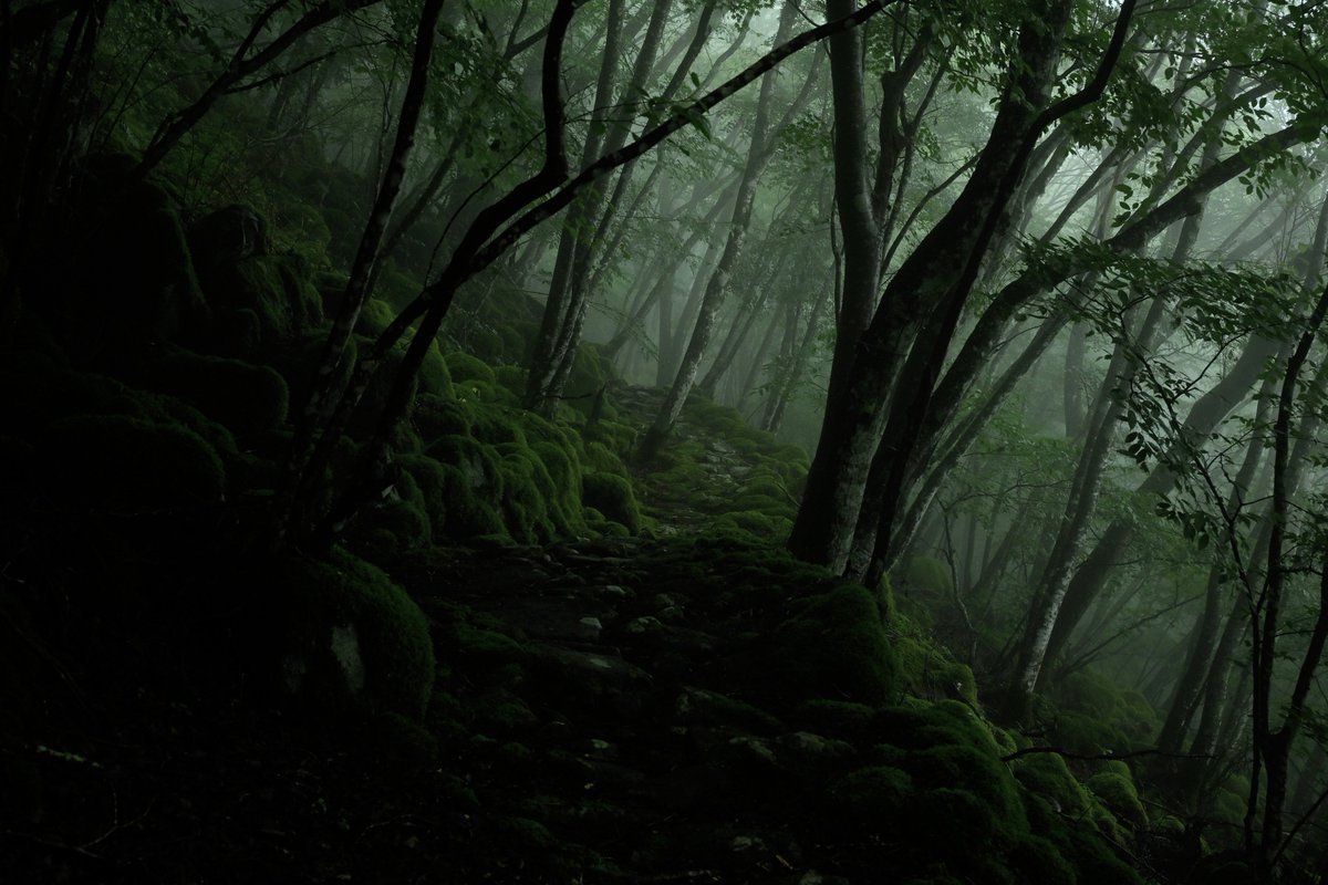 8703photography tweet picture