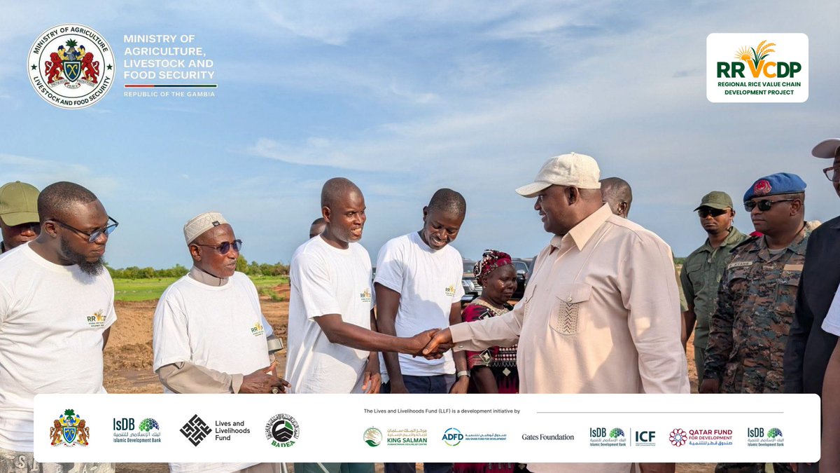 RRVCDP_Gambia's tweet photo. President Barrow visited the 50-hectare RRVCDP rice site at Wassu–Pallang, expected to produce 400 MT annually.

Strengthening rice production and food security in The Gambia.

#IsDB #LLF #BADEA
 @LLF_fund 
@KSRelief_EN @ABUDHABI_FUND @gatesfoundation @qatar_fund @isdb_group https://t.co/XoNBzKHjiN