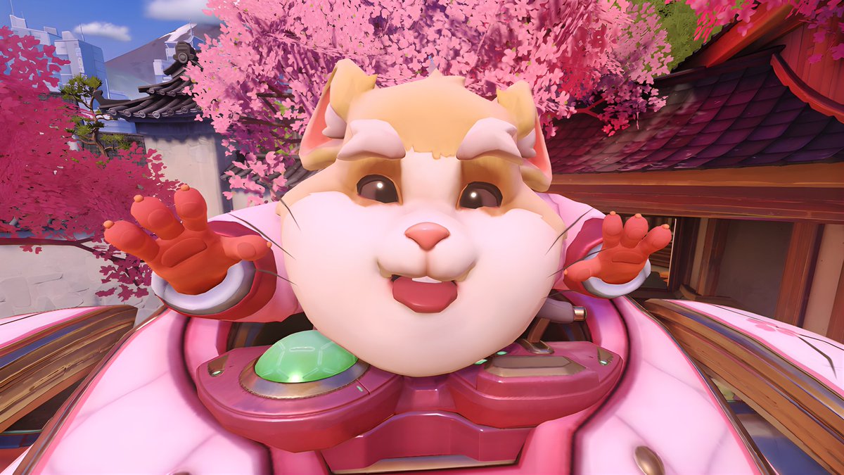 hammond_ow2's tweet photo. どれが好き？🐹 https://t.co/sRJOoOIQTW