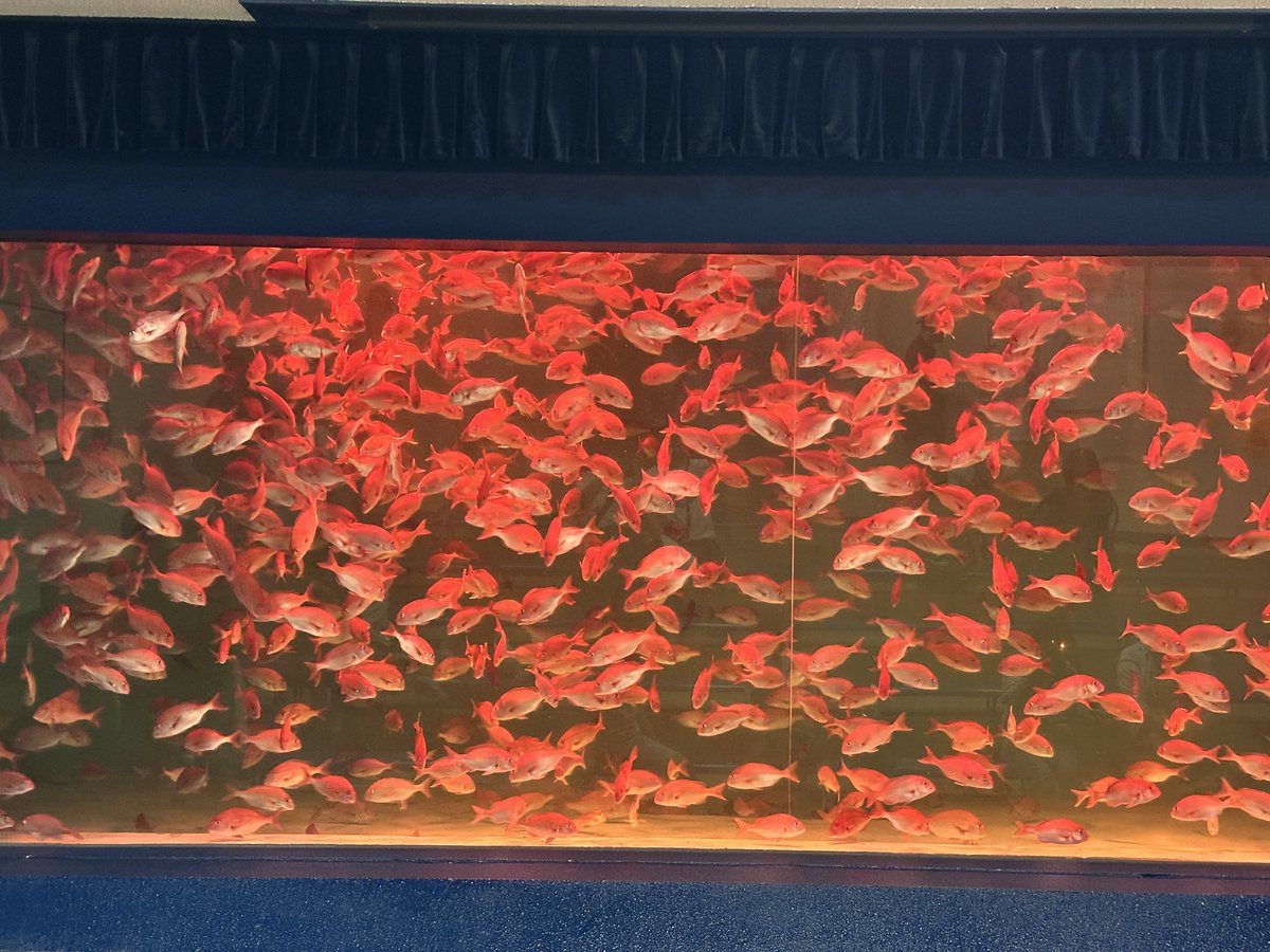 netema3's tweet photo. これはのとじま水族館のダミーシステムの根幹たる綾波シリーズLCL水槽 https://t.co/6iKK20489g
