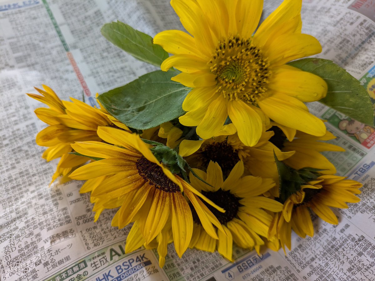 Y18995981's tweet photo. 皆さん∞こんばんは⭐今日は、実家の母初盆でお墓参り🙏午後は家族が集まり、お坊さんが初盆のお経と…分からない事も聞けて祭壇の配置も確認していただき、きっと母も、ご先祖様も喜んでくれていると思います🙏14.15家族で母への感謝の気持ちで✨🍀😊🤚 https://t.co/lFaleO02fl