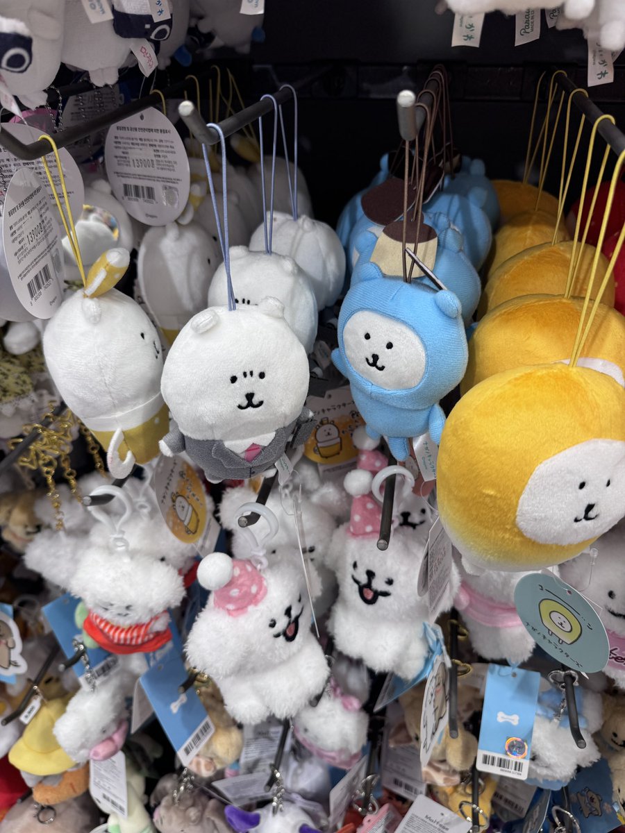hirugedan's tweet photo. 히곰이품귀현상뭐지요?..... https://t.co/f77u5nXLB1
