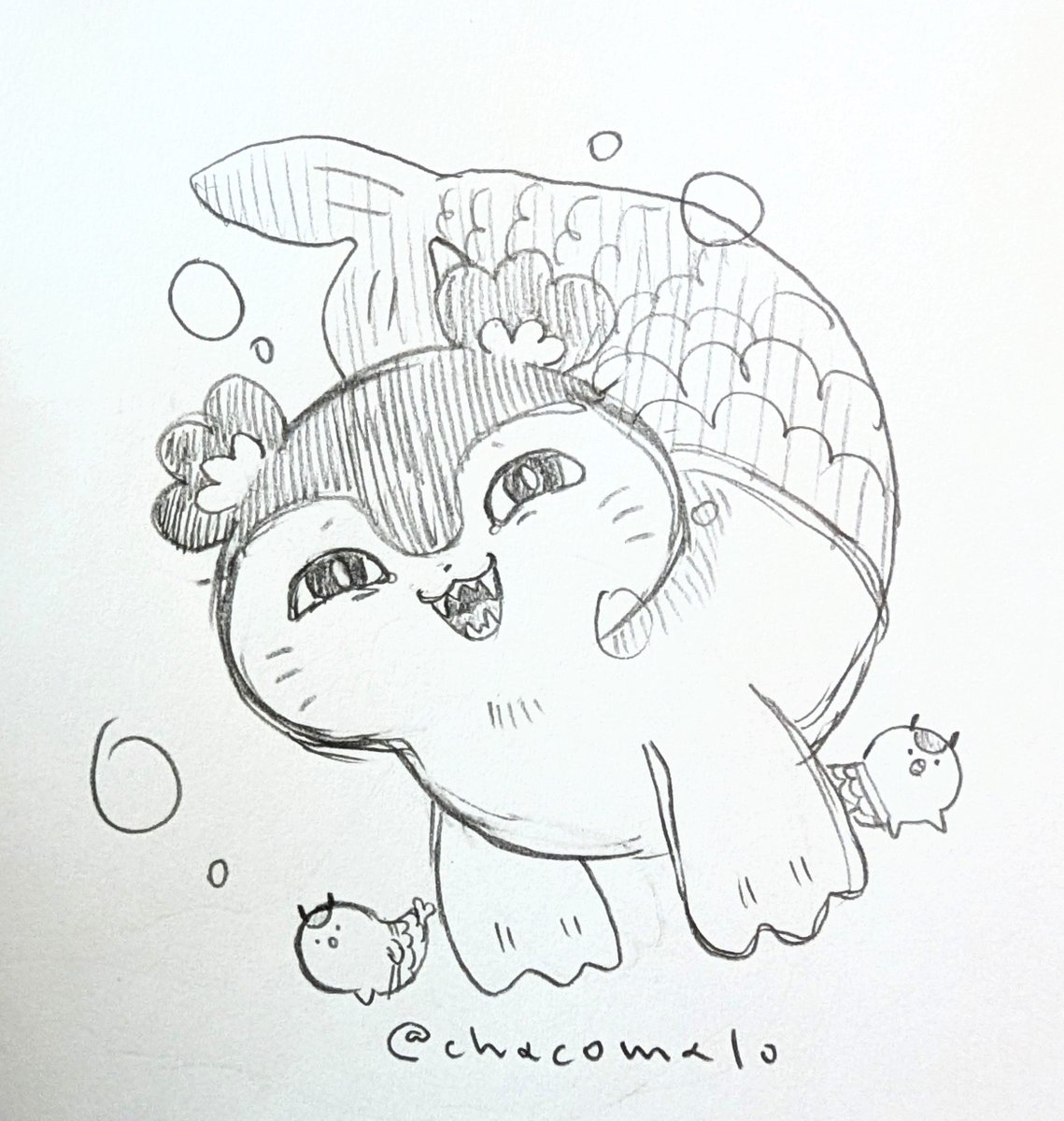 chacomalo's tweet photo. 私はセイレーンちゃんが1番好き https://t.co/tV7ww6b1Ke