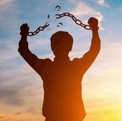 jeongiecart's tweet photo. the most mistreated members are finally free!!! https://t.co/wMdm6oqaWn