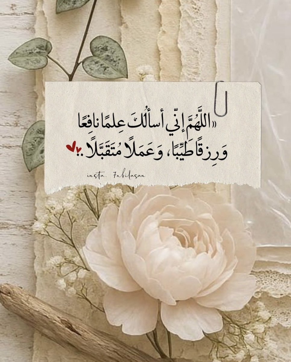suadals34's tweet photo. الخميس ٣٠ صفر١٤٤٨هـ 
Thursday 13 August 2026
#السلام_عليكم 
#صباح_الخير 
#يوم_جديد 
#الحمد_لله_دائماً_وأبداً https://t.co/RNRLiTAv3W