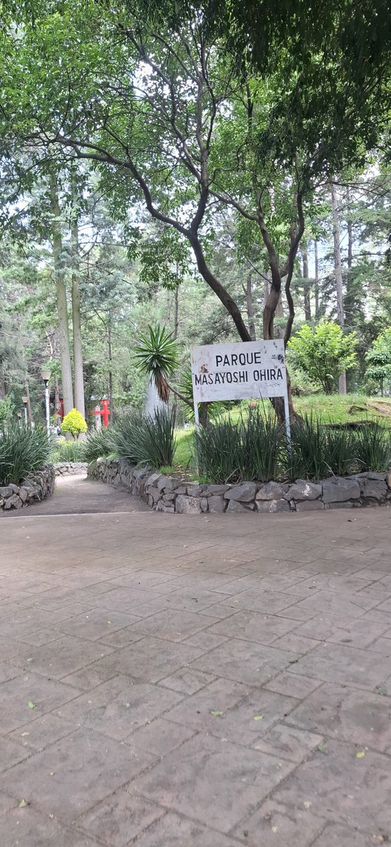Isa150393's tweet photo. #CDMX 
#ParqueMasayoshi https://t.co/I63spX1zpF