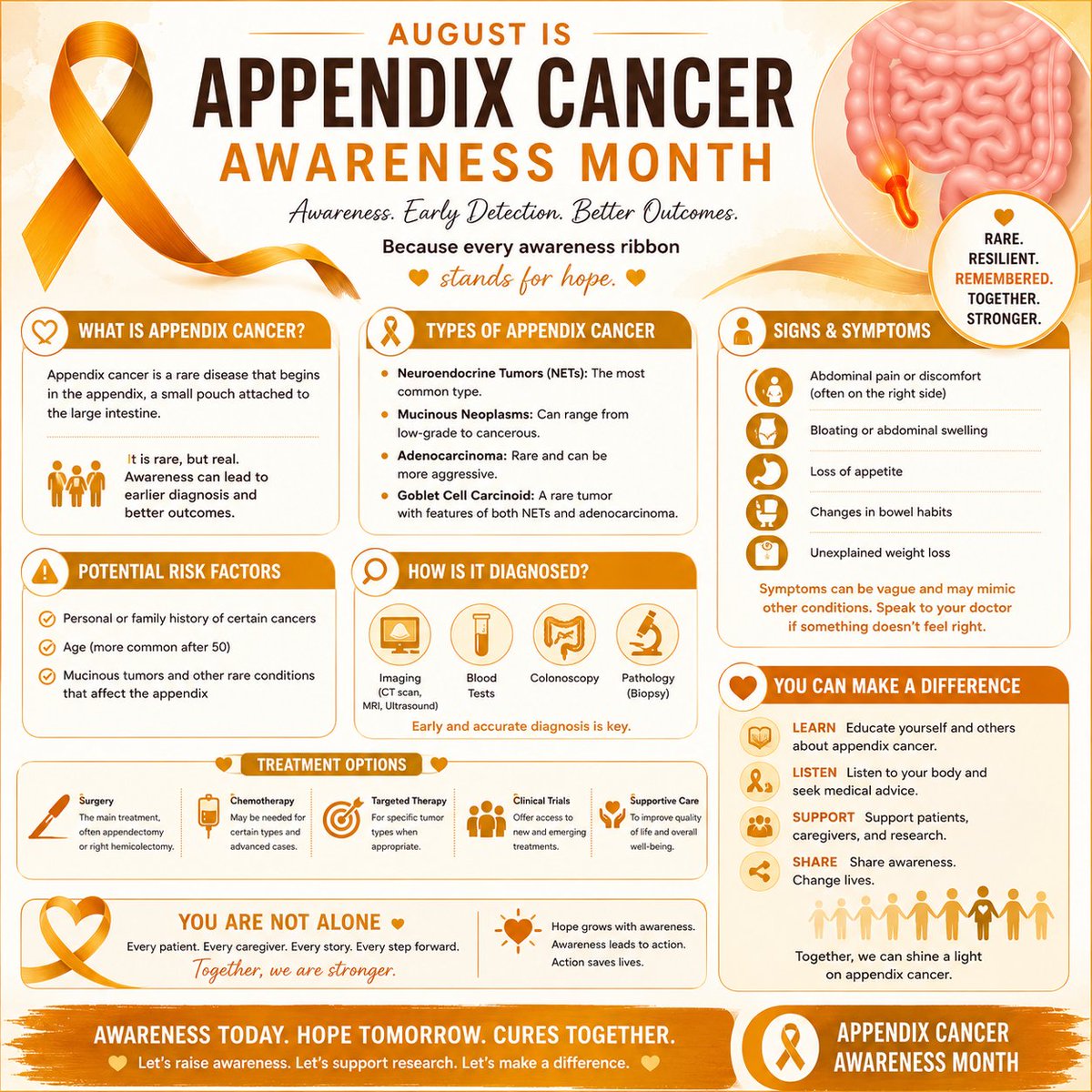 Praloy2510's tweet photo. 🟠 August is Appendix Cancer Awareness Month

Appendix cancer is one of the rarest gastrointestinal cancers, yet its rarity often leads to delayed diagnosis and limited public awareness. Many patients have few or no symptoms in the early stages, with the disease sometimes discovered unexpectedly during surgery or imaging performed for other conditions.

While uncommon, appendix cancer deserves attention. Advances in specialized surgery, cytoreductive surgery with HIPEC for selected patients, precision diagnostics, and multidisciplinary cancer care have significantly improved outcomes for many individuals.

This Appendix Cancer Awareness Month, let us shine a light on a cancer that is too often overlooked. By increasing awareness, supporting research, and advocating for timely diagnosis and access to expert care, we can make a meaningful difference for patients and their families.

Every rare cancer deserves recognition. Every patient deserves hope. Every breakthrough begins with awareness.

🧡 Together, let's raise awareness, support research, and stand with everyone affected by appendix cancer.

#AppendixCancerAwareness #RareCancer #CancerAwareness #Oncology #TogetherForHope