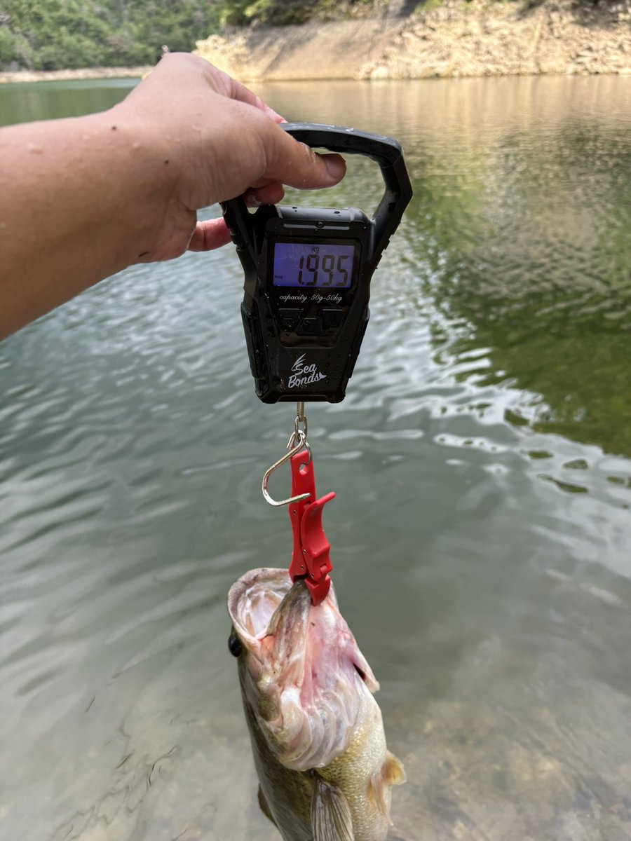 kkfish1110's tweet photo. 2日連続で三川モンスター仕留めました👾
コイケフィッシュでこいつ含めて全く同じスポットで3連発
コイケフィッシュやばいな！ https://t.co/7UfJMyTvNa