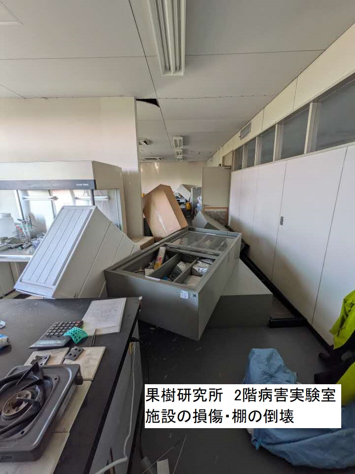 KumamotoP_ARC's tweet photo. このたびの地震により被害を受けられた皆様に、心よりお見舞い申し上げます。
農業研究センターの一部研究所でも被害があり、復旧作業を進めています。
一方、本部（合志市）では精密機器の転倒等があったものの、大きな被害はなく、研究活動を継続しています。今後も地域農業に貢献できるよう努めます https://t.co/og37f85rFP