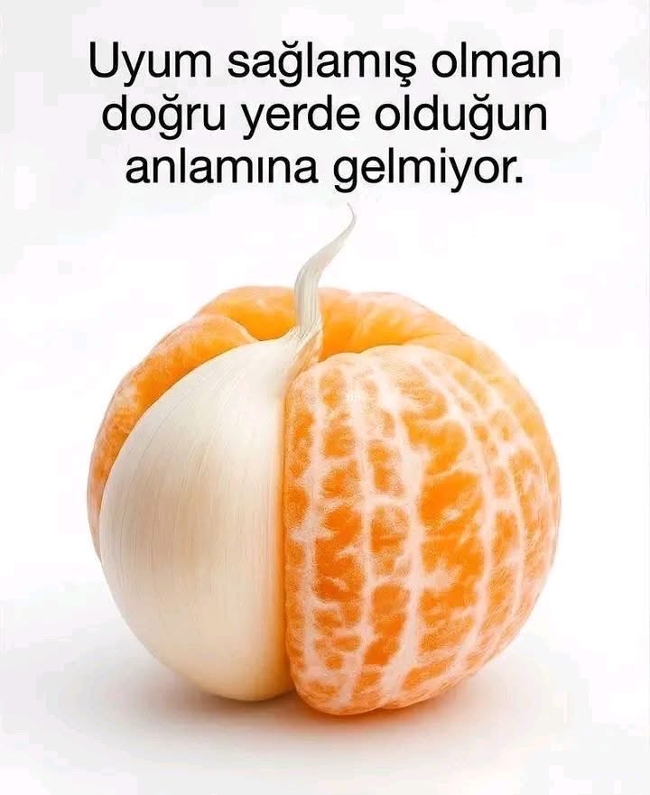 mlbaydar's tweet photo. https://t.co/GGZOxAv3lg