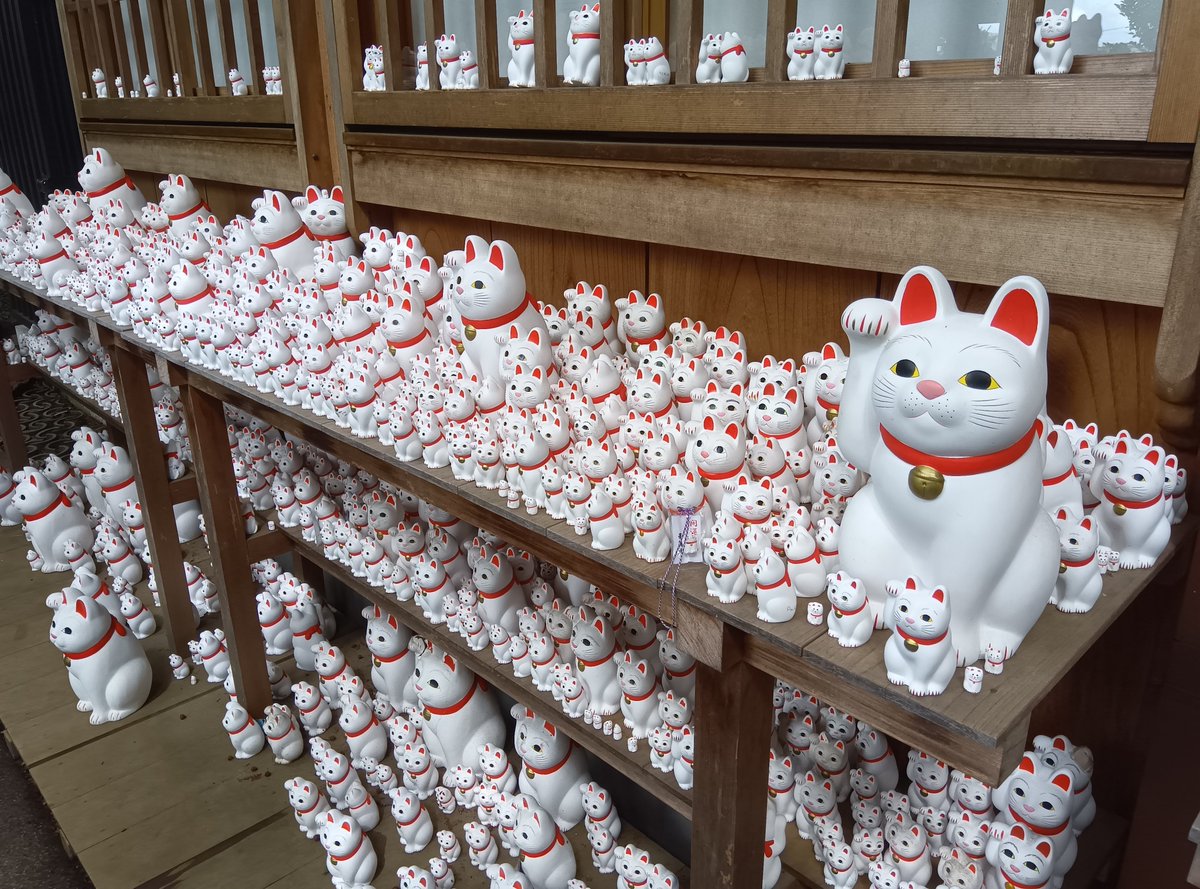 1091dazei's tweet photo. 豪徳寺〜！まねき猫
たくさん https://t.co/pWzvKdKZKZ