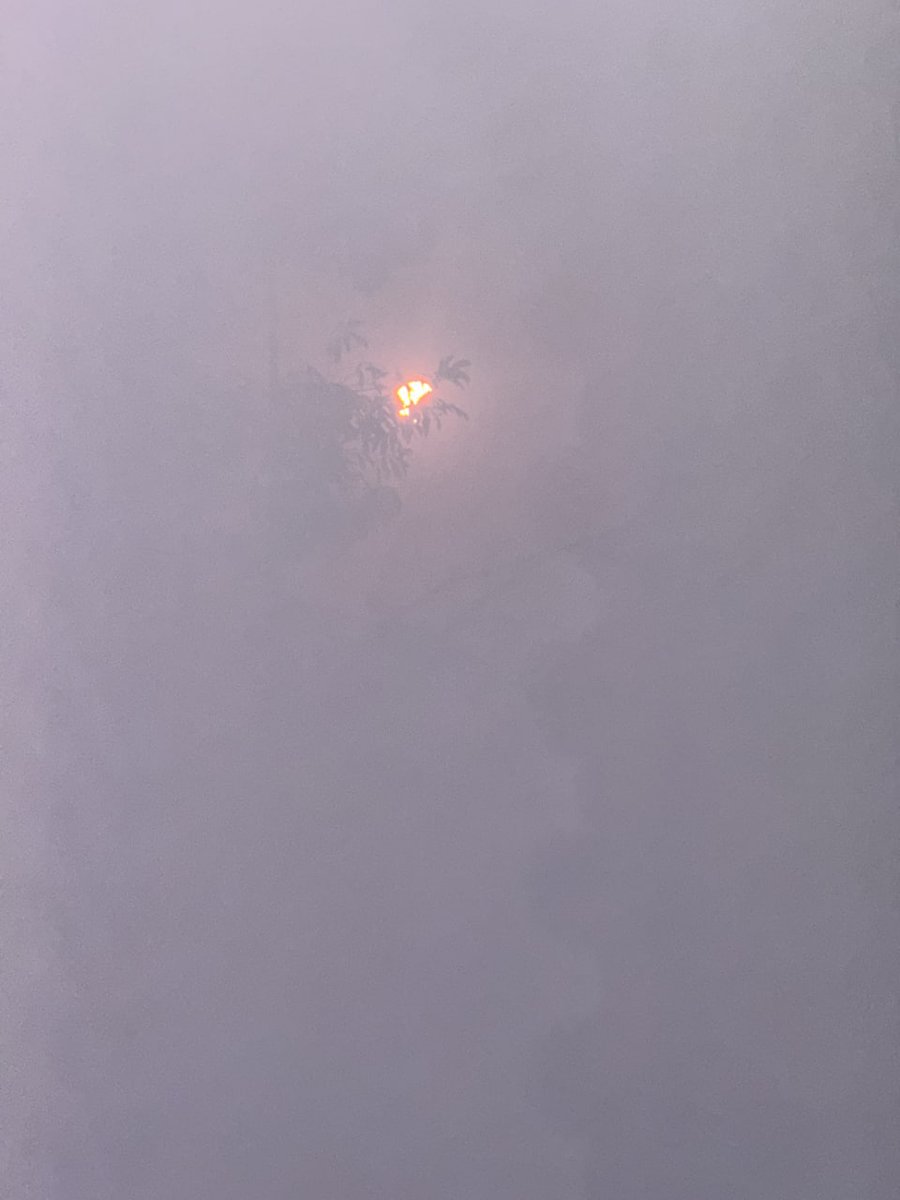 Cuma1496879's tweet photo. 🇫🇷Total Solar Eclipse in Paris https://t.co/oTnNSCpgiq