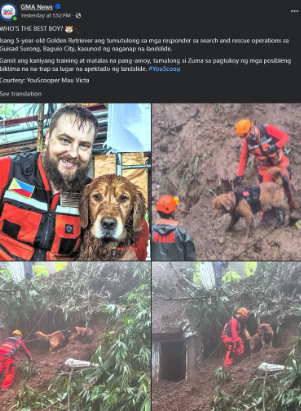 KodaqSOL's tweet photo. This is the most viral thing in the philippines right now this dog Zuma is saving loads of people in the landslide that just happened recently in the philippines its going insanely viral with 80k likes and 7 million views within a day on a single post?? its a cashback narrative, no charity because its in the philippines (im filipino so i know) https://t.co/S6lfI2CRd5

https://t.co/RSGrTbiFsM