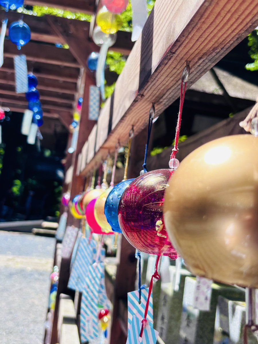 Distpia401's tweet photo. 風鈴が綺麗な神社へ行って参りました
社ンディと煙に巻かれるンディです
#飲んでるか敷嶋ァ　#敷嶋重工写真部 https://t.co/srGrLVAmii