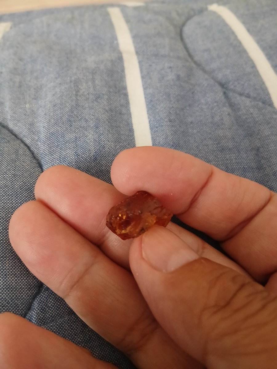 tagsize's tweet photo. 以前拾った琥珀達を覗いて暇つぶし。これは虫？気のせい？ https://t.co/apUdXm8kQl