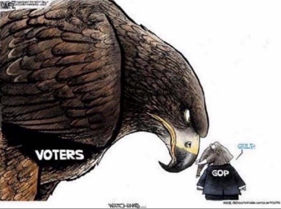 Rich250repub's tweet photo. @LeaderJohnThune Nice! Stop the TRAITOR and ask his advice the guy who can't even get the literally EASIEST to pass bill through!! I know 3rd graders that could have found strong arm tactics that would have had it passed a long time ago! FUCKING TREASONOUS SCUMBAG!!!! https://t.co/izpgS7H8oP