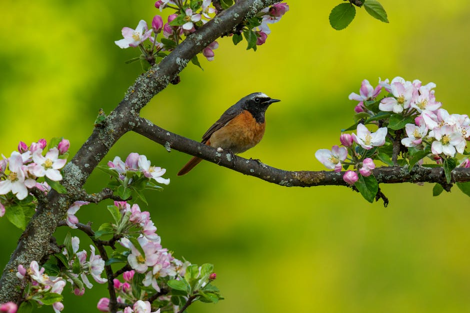 SGreen38182's tweet photo. العلاقة لا يمكن أن يمنح العلاقة الأبدية وعد أبدي. من دون في mi reberالحلم يزدهر عندما يقوي الليالي 🇬🇧 وعد الحب في أبدي. 🚒 👇 mark syverson https://t.co/Owy0kcx30i
