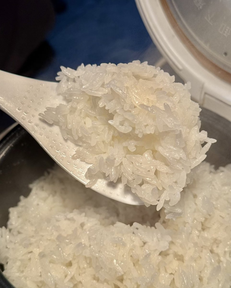littlemeezsiw's tweet photo. In this economy… rice cooker anak kos tuh harus multifungsi 😭 Nggak cuma nanak nasi, tapi bisa rebus mie, ngukus, sampai masak juga! https://t.co/bDmbRPD4BU