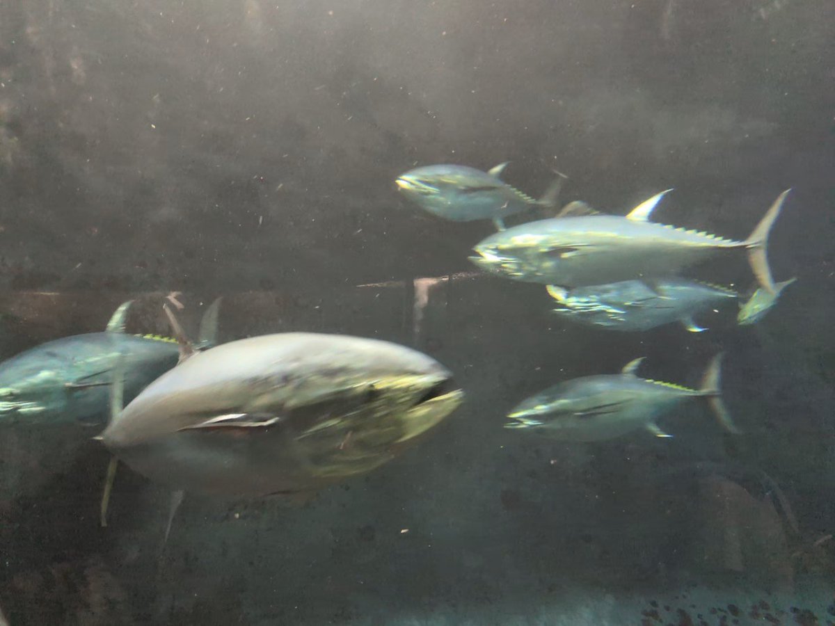 30__30_'s tweet photo. 水族館と植物園に行ってきました https://t.co/ScfJXpFST5