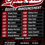 Photo by Kim Hochgraber - 14u Sparks Red (@Buges8)