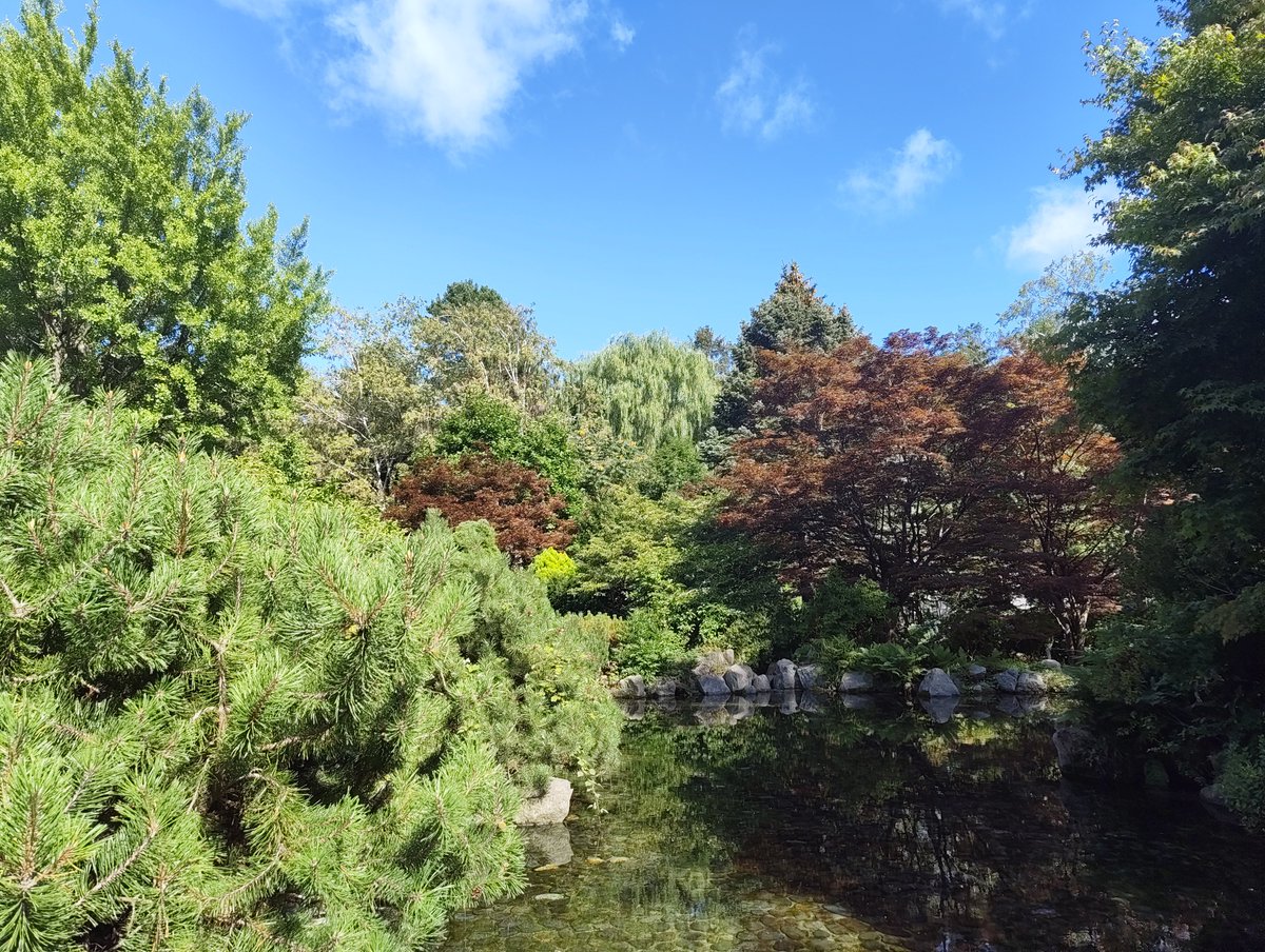 Ryoya_star's tweet photo. 妻終日不在につき暇すぎて、豊平公園徘徊しながらひたすら3日前に始めたばかりのポケモンGOでポケモン乱獲。
めちゃクソ晴れてて気持ちよい。けど日なたはあちい。 https://t.co/xV8ZpWm4iY