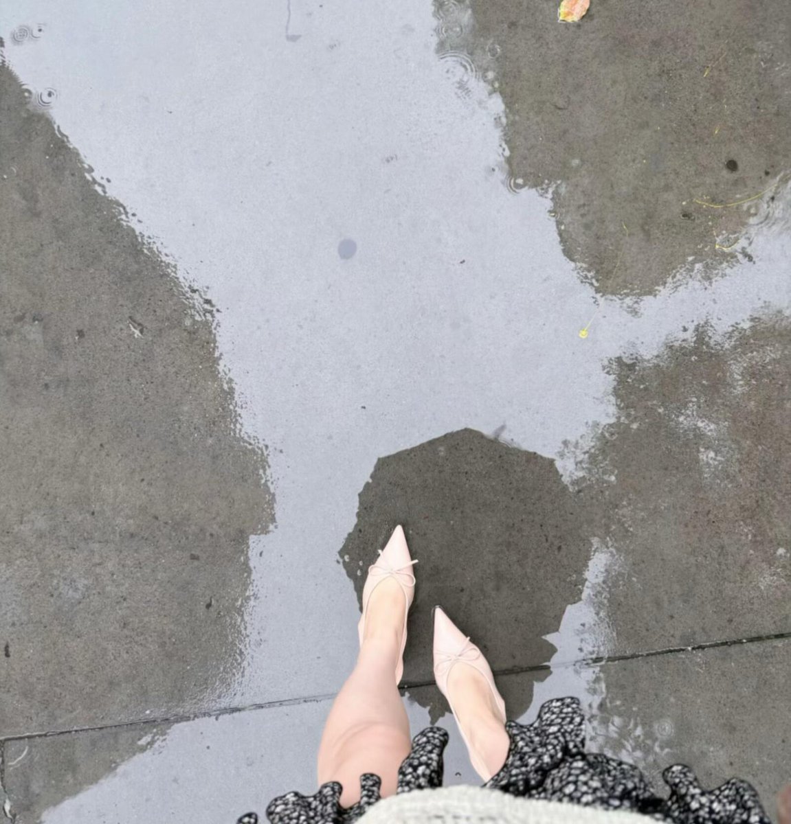 bonjoupk's tweet photo. A strong wind arose, and suddenly it started to rain. https://t.co/Wn0oX2j5er