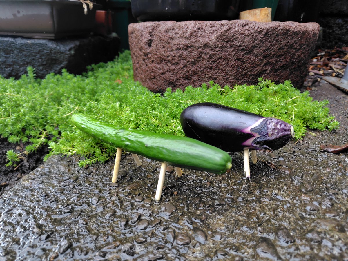 dtdt5630's tweet photo. 精霊馬と精霊牛
お盆ですねぇ https://t.co/Y7p4PIDWPQ
