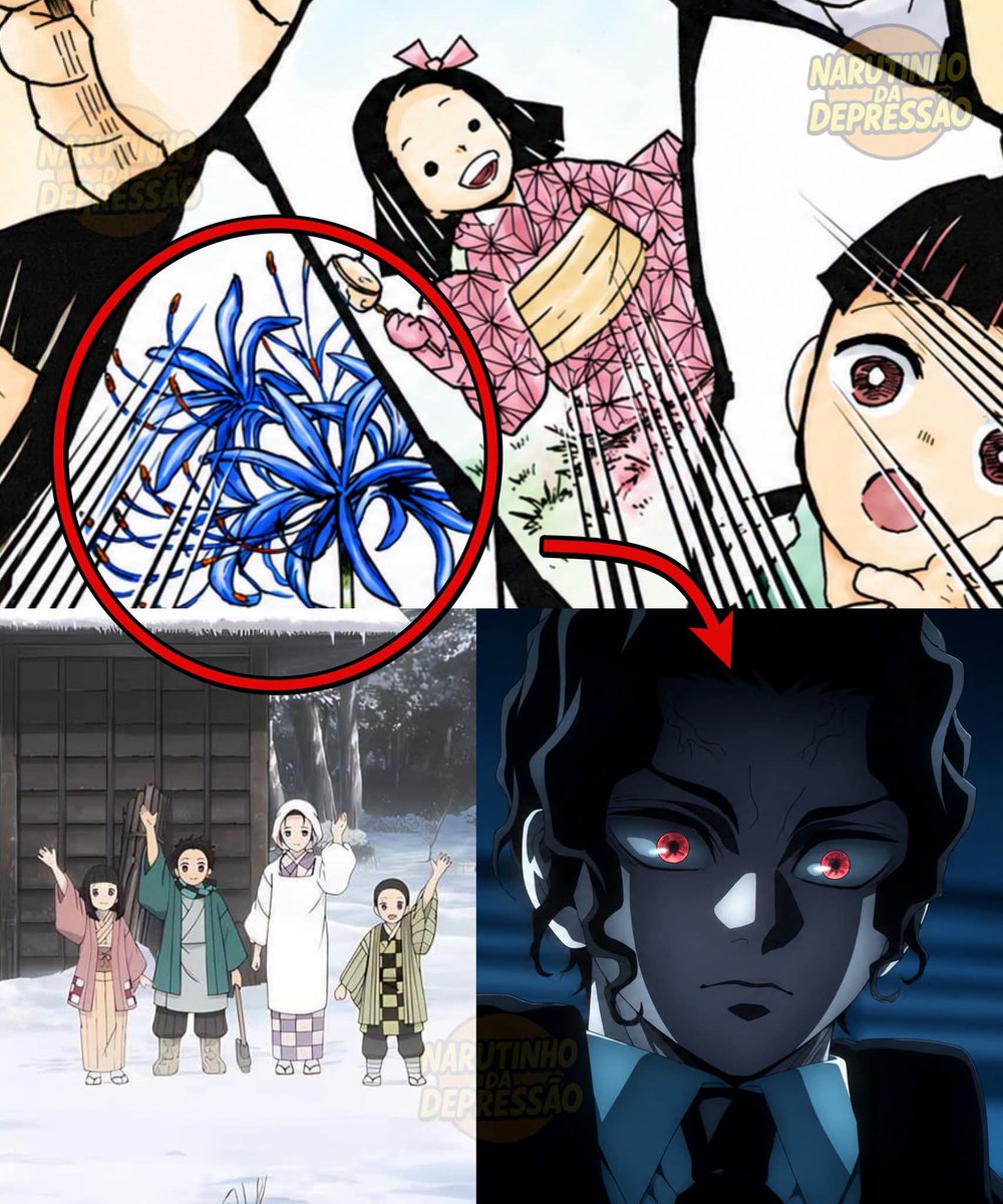 Jjk_dose's tweet photo. MUZAN WAS CLOSER THAN HE EVER REALIZED 🤯

The Blue Spider Lily, the flower Muzan desperately searched for, is shown in a flashback involving the Kamado family in the manga, so they knew exactly where it grew. https://t.co/vgDhFA8qAw