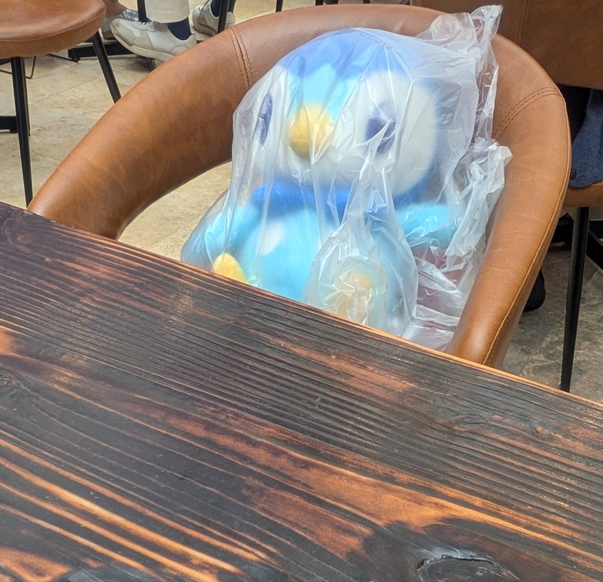SoftpeachPengui's tweet photo. ﾎﾟｯﾁｬﾏｧのグッドモーニングﾎﾟﾁｬｧね!
グッドモーニングﾎﾟﾁｬｧ!!! https://t.co/1QEnAaVNQS