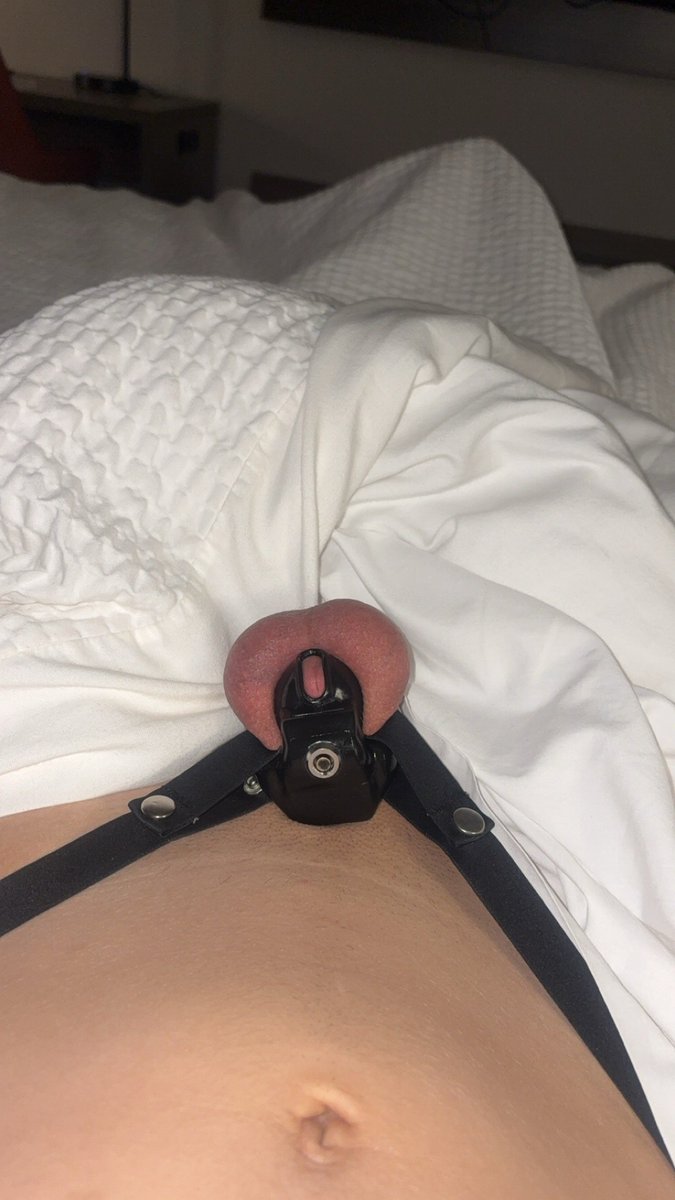 goddessalex26's tweet photo. Made my sub get a chastity belt, its barely got anything to hold on to! Zooming in wont help 🤣 https://t.co/xBb7jTKBot