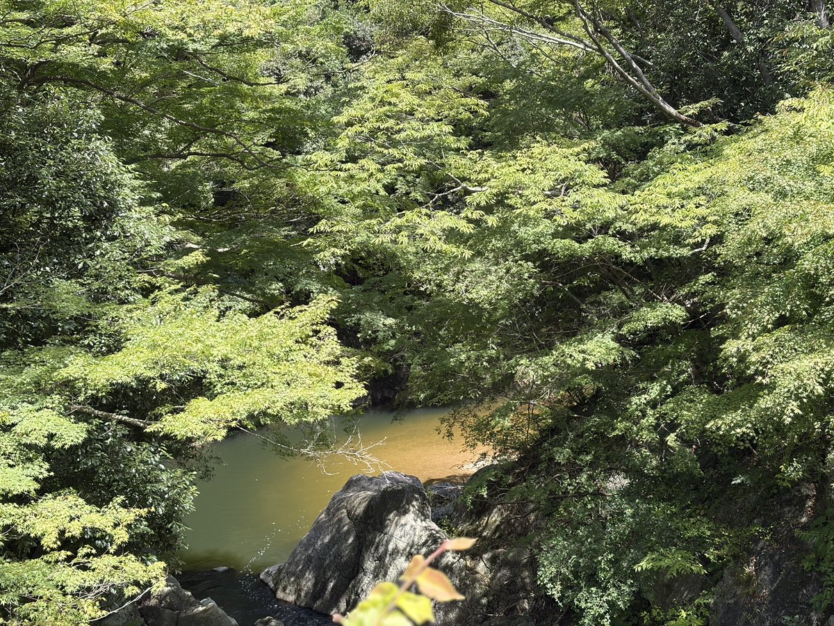 aniaso2's tweet photo. そういえば毎年恒例のバーベキュー https://t.co/meLcBZlIib