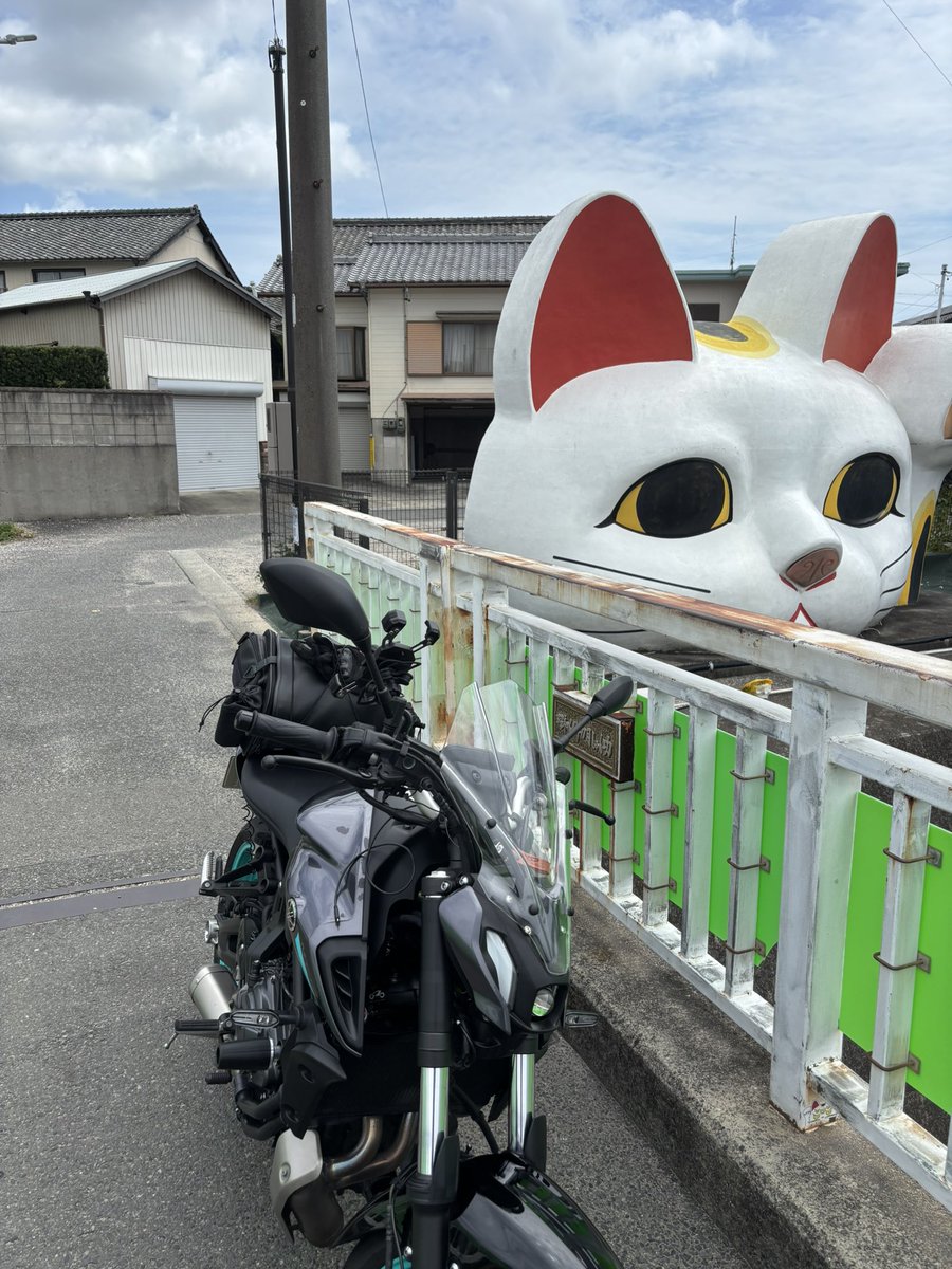 amutan08's tweet photo. こんにちは
今日は朝から雨が降ったり止んで
車で久しぶりに荒川の桃買いに
もう販売終了とのことで買えず😭

以前に行った　見守り猫「とこにゃん」 https://t.co/nvGUFZ6d6c