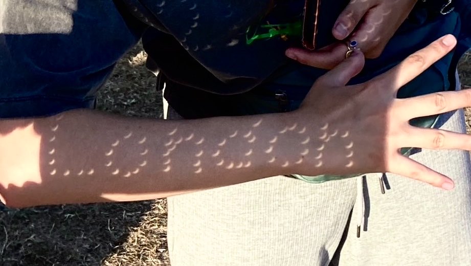 ShiroMineral's tweet photo. 紙に穴開けて、
日付と場所を書いてます‼️(3/5)

#eclipse #日食 https://t.co/7n3zac3DL7