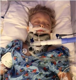 PrayerHarbor's tweet photo. Please pray for 4 year old Easton, who is still fighting for his life after an agricultural accident left him with critical injuries. Pray for doctors' wisdom, peace for the family etc. Thank you. https://t.co/F4yYKSbDJX