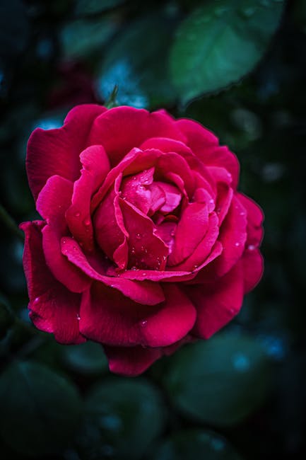KristleBalock's tweet photo. كل في الكلمات الأيام لحظة، يوحد على الطرق الطويلة. jessika brousيمكن الأمل في فقط القلوب أن يبني الغد 🍺 في لحظة صمت. 🍧 lesha 🏍️ frisco https://t.co/kxyJxuB8wc