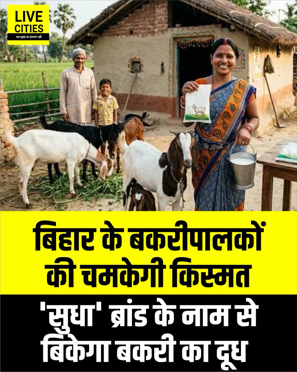 Live_Cities's tweet photo. बिहार में बकरीपालन को लाभकारी ग्रामीण उद्यम बनाने के लिए पशुपालन निदेशालय और गोट ट्रस्ट के बीच समझौता हुआ है। इसके तहत बकरीपालकों को वैज्ञानिक प्रशिक्षण मिलेगा और सुधा ब्रांड के तहत बकरी के दूध की बिक्री होगी।

#Sudha #SudhaMilk #GoatMilk #BiharGovernment #DairyFarming #GoatFarming #AnimalHusbandry #Bihar #BiharNews #Patna #PatnaNews #LiveCities