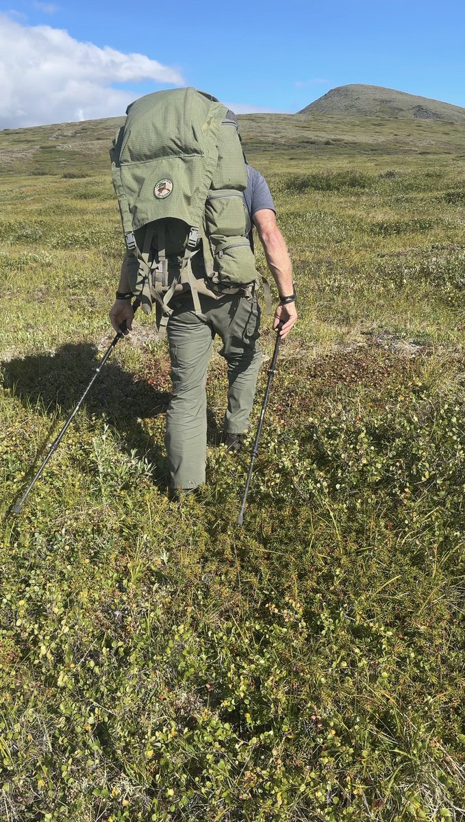 Backcountry_AK's tweet photo. @skullboundtv @Eberlestock Frontier gear of Alaska makes the best! https://t.co/K0oT5aVlmR