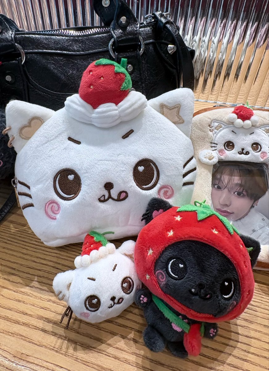 _mykitty628's tweet photo. 買ってすぐ適当に撮った写真だけどかあい～ https://t.co/v4NLLt8paT