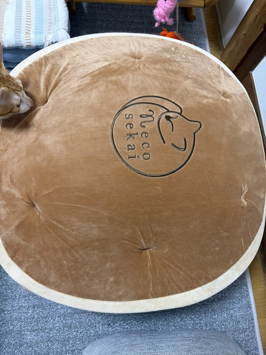 chairoi728's tweet photo. どら焼き届いたよ🫘

#猫のいる暮らし https://t.co/gbfl9XBbyE