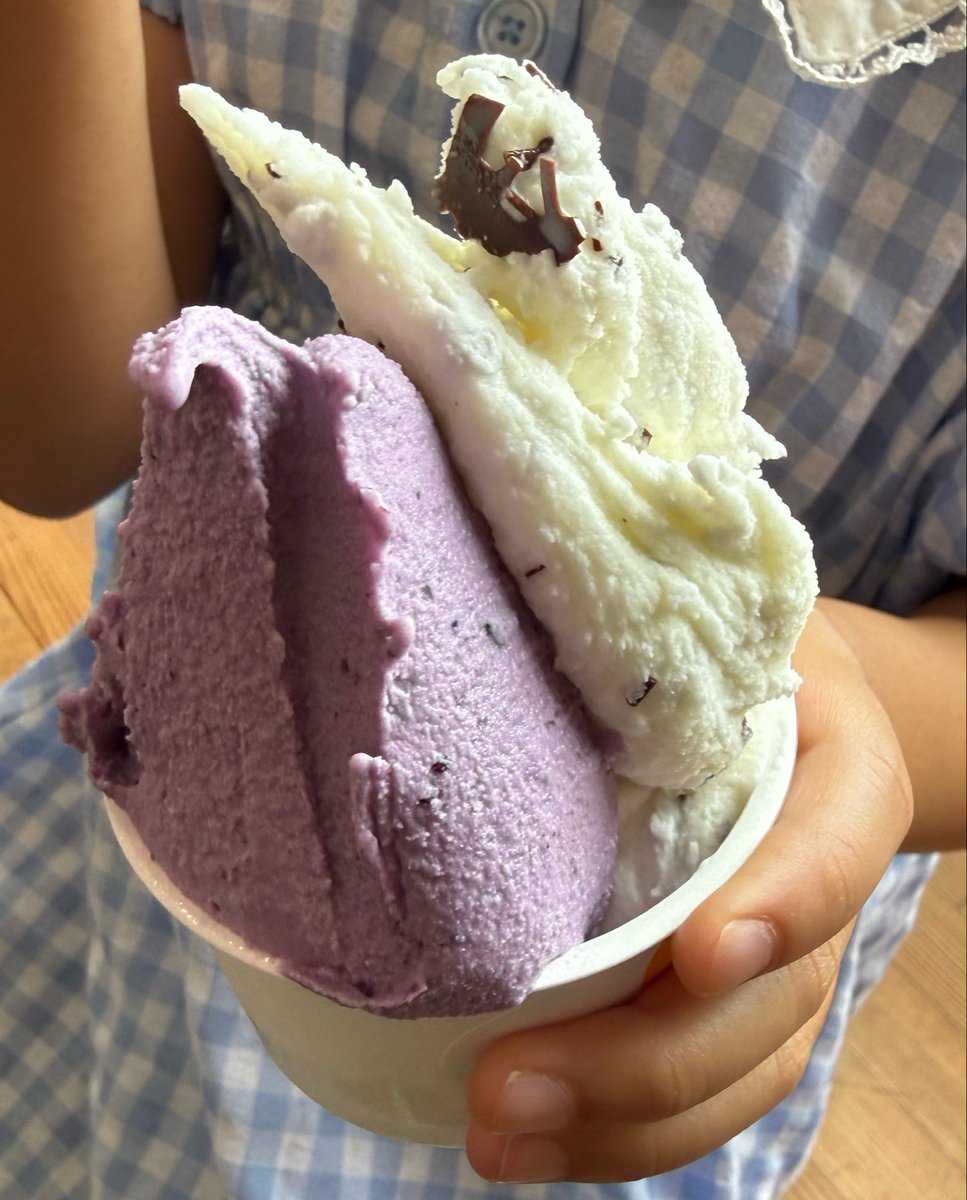sealoving_ma's tweet photo. 長万部のカフェ、あまね茶房のコーヒーとかき氷

川瀬チーズ工房のジェラート
美味しいよー https://t.co/iMYXDBaUrp