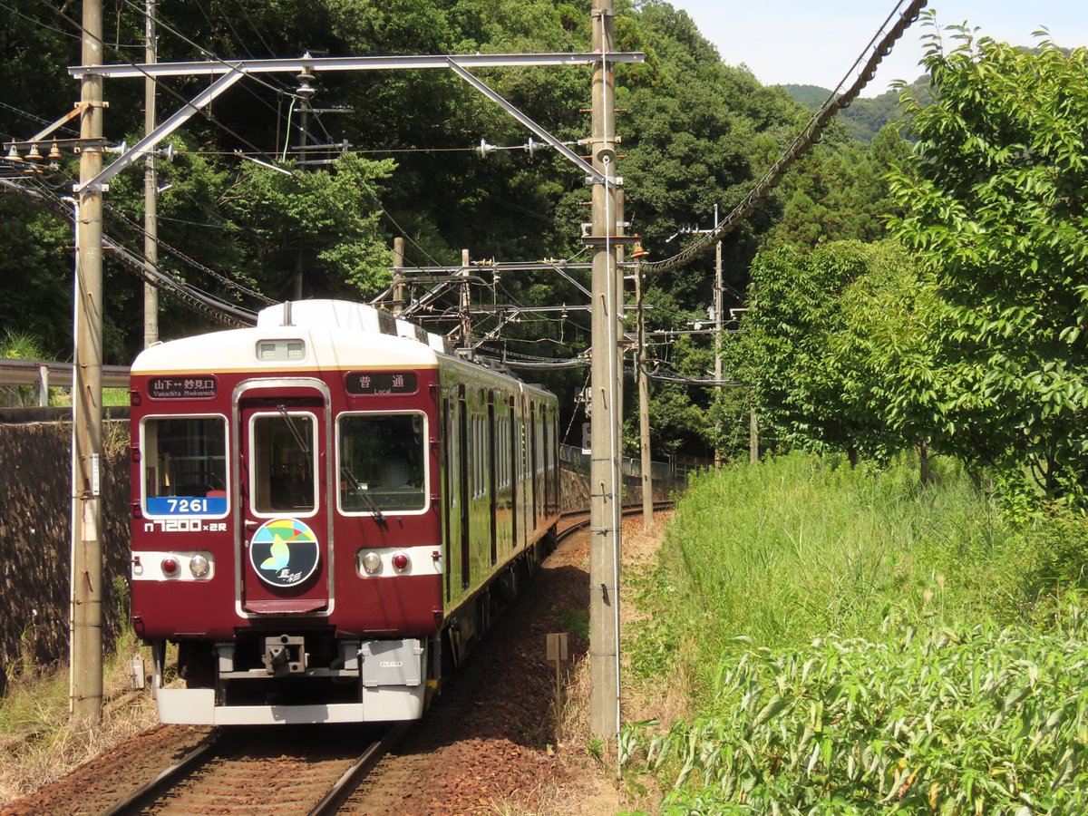 hati_8302's tweet photo. 緑に囲まれた単線区間にも関わらず親会社の本線並みの間隔でやってくる2両編成の電車
西地区は本当に交通の便が良くて便利ですね

2026/8/8撮影 ときわ台 https://t.co/44y1dWEcgd