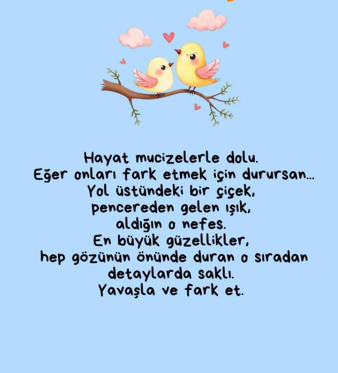 ercanorta38's tweet photo. Yüreğinde tüm canlılara karşı sevgi ve merhamet barındıran herkese iyi günler https://t.co/4WPwrehjpm