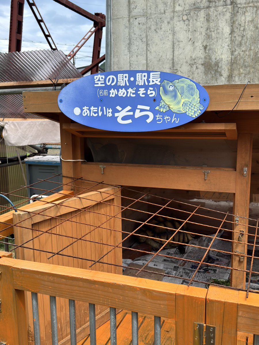 93BNR32's tweet photo. 何度か来ていますが駅長さんにお会いするのは初めてです。
#空の駅
#餘部駅
#駅長
#かめだそら https://t.co/UbOQ2jXZqH