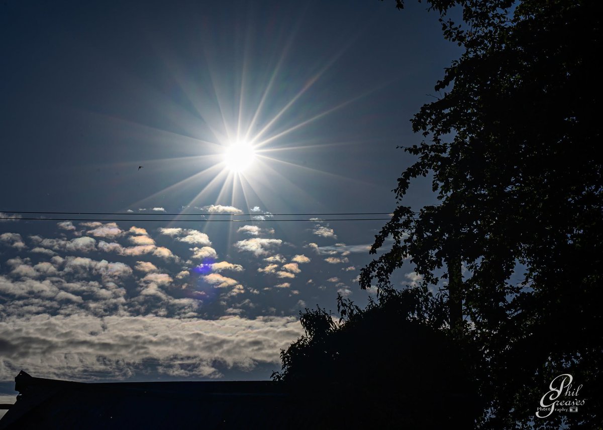 PhilipGreaves3's tweet photo. A few pictures from tonight's Solar Eclipse taken from the Dungarvan road Clonmel and Ballynagulkee Lower.
#eclipse #solareclipse #solareclipseglasses #Eclipse2026 #astrophotography #skywatching https://t.co/Kx64427TX8