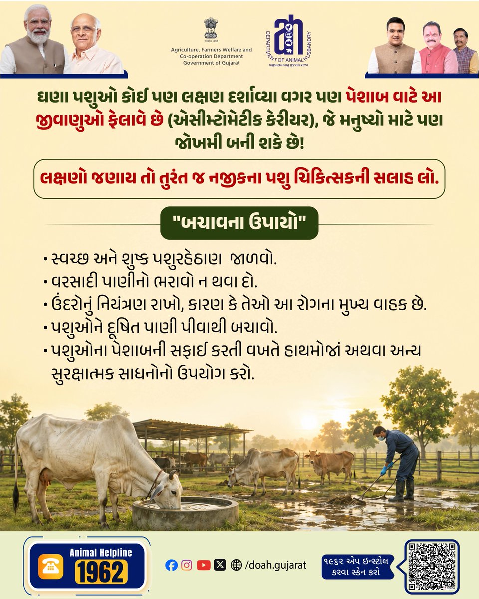 DoahGujarat's tweet photo. 🐄 પશુઓમાં અચાનક તાવ, દૂધમાં ઘટાડો, ગર્ભપાત જેવા લક્ષણોને અવગણશો નહીં.
⚠️ સ્વચ્છ અને શુદ્ધ પાણી, સ્વચ્છ પશુવાડો અને યોગ્ય સાવચેતી દ્વારા ચેપનું જોખમ ઘટાડવામાં મદદ કરો.
.
.
.
#AnimalHealth #LivestockCare #DiseasePrevention #CattleHealth #MonsoonCare https://t.co/TAxsGfEqCF