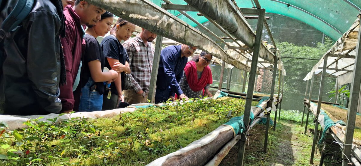 DBT_IBSD's tweet photo. Officials of Meghalaya Basin Development Authority with Progressive farmers visited BRIC-IBSD, for training on Gaultheria fragrantissima &amp; Swertia chirayata quality planting material raising,mass propagation &amp; post harvest processing @DBTIndia @DrJitendraSingh @rajesh_gokhale https://t.co/mY7s24BJnm