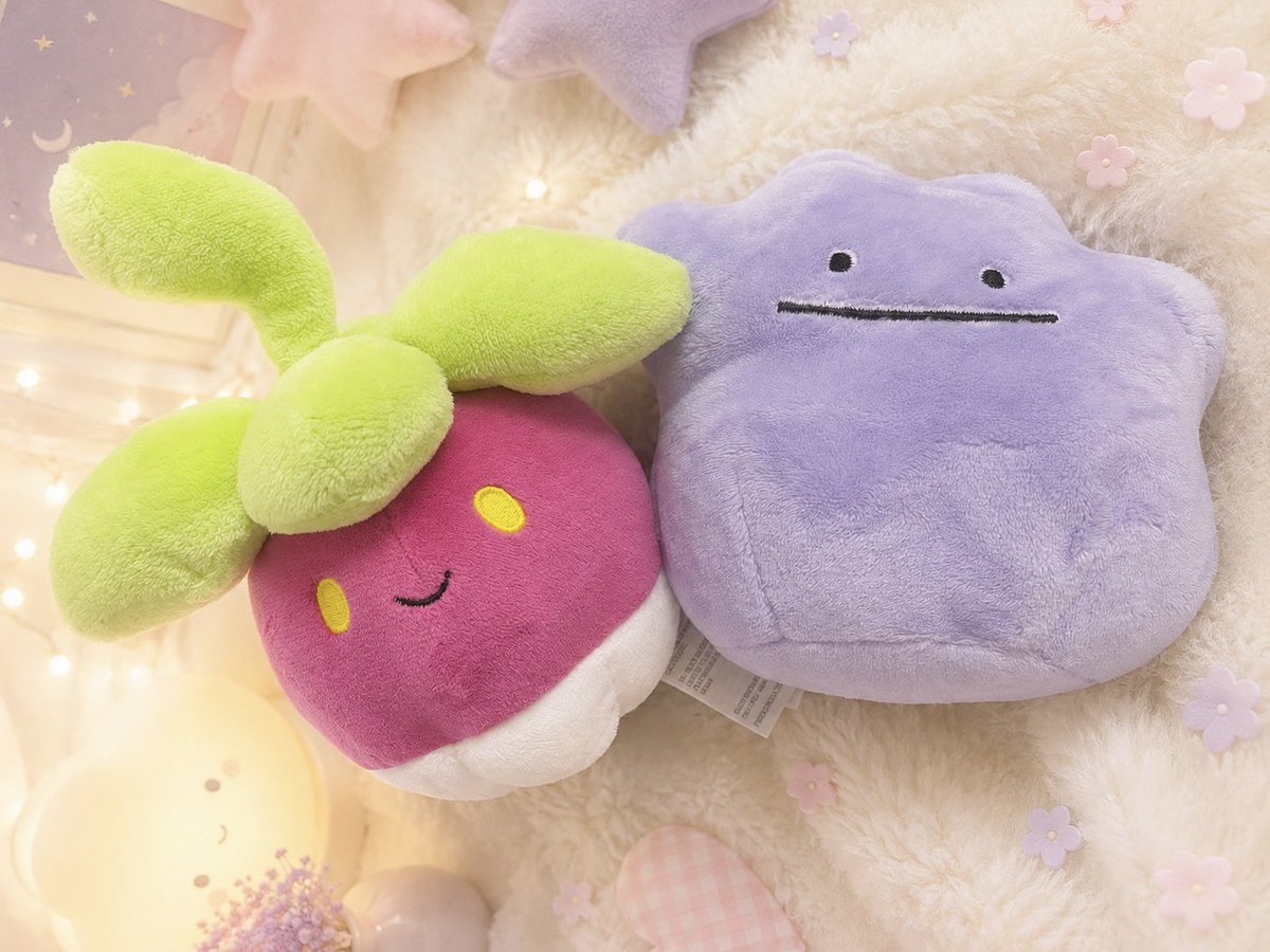 metamonm0's tweet photo. 友達もんも🤍
 #ぬい活 #ぬい撮り #ポケモンfit https://t.co/5QhZcSE6ur